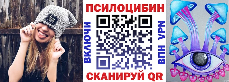 Псилоцибиновые грибы Cubensis  Купить  Новочеркасск 